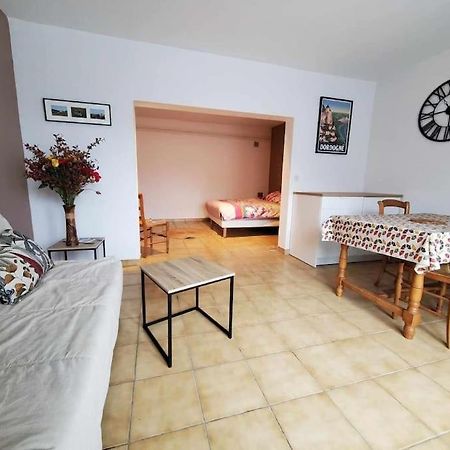 Studio Au Pied Du Chateau De Castelnaud Екстериор снимка